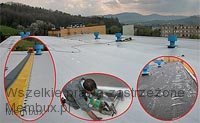 1str_dach-plaski