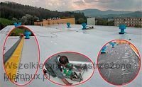 2str_dach-plaski