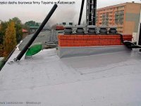 2str_tayama7-internet