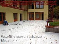 taraswisla_2012_d1